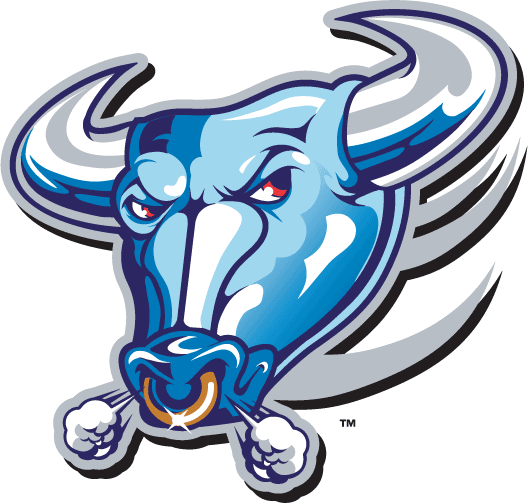 Buffalo Bulls 1997-2006 Alternate Logo t shirts iron on transfers